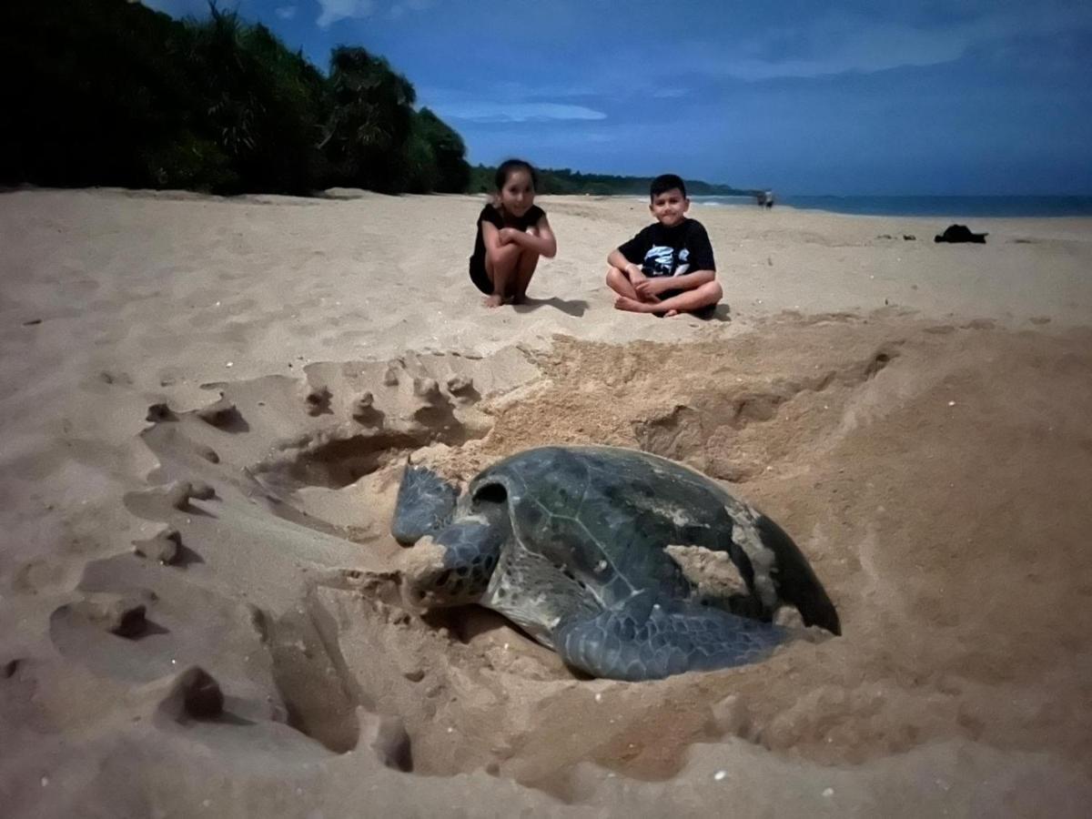 Ananthaya Beach Tangalle Eksteriør bilde